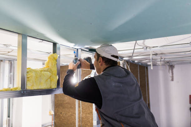 Best Spray Foam Insulation  in Falconer, NY