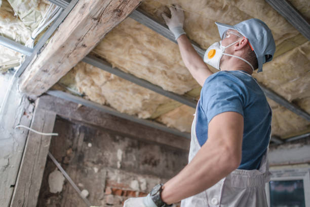 Best Insulation Contractor Near Me  in Falconer, NY