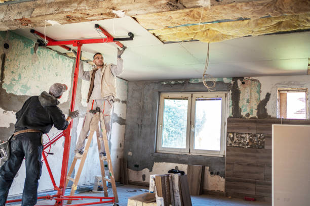Best Insulation Removal  in Falconer, NY