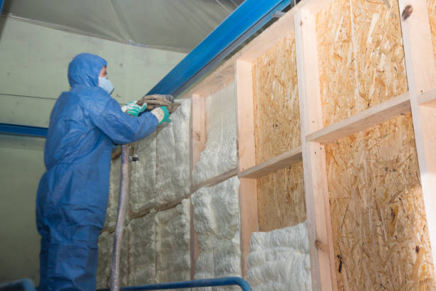 Best Insulation for New Construction  in Falconer, NY