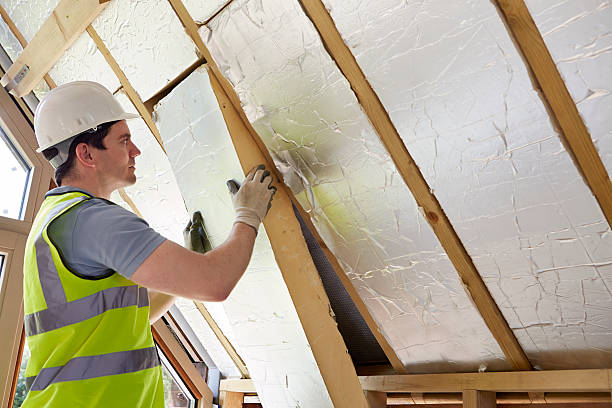 Best Cellulose Insulation  in Falconer, NY