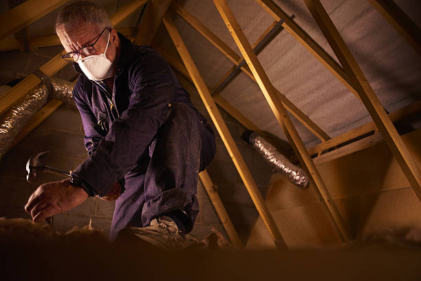 Best Spray Foam Insulation  in Falconer, NY